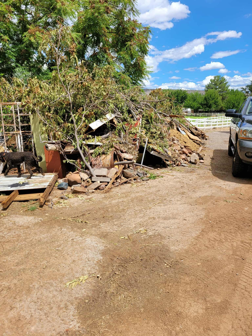 Junk removal and cleanup